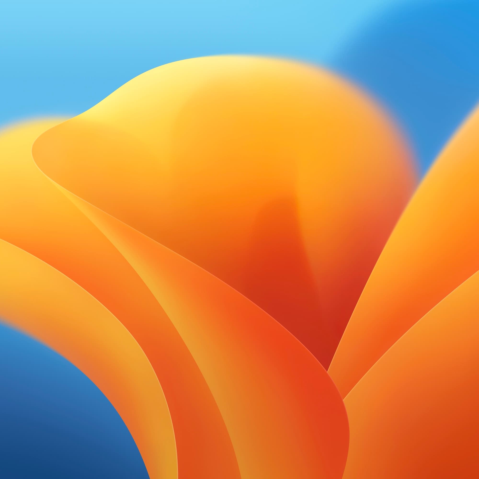 Carousel Background